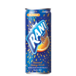 RANI JUICE ORANGE