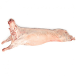 WHOLE SHEEP