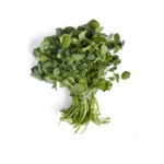 WATERCRESS BUNCH