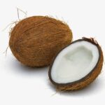 COCONUT 1pcs