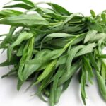 TARRAGON BUNCH