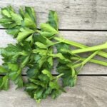 CELERY Leaves