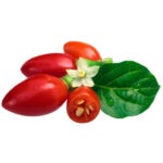 BULLET CHILLI 100g