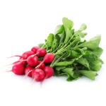 RED RADISH BUNCH