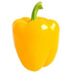 CAPSICUM YELLOW 1pcs